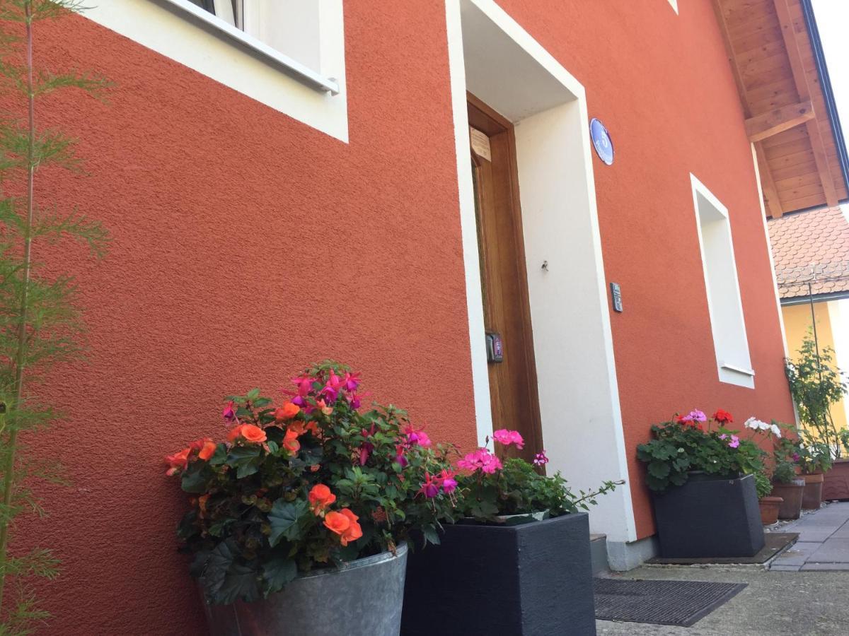 Book-A-Room Salzburg Apartment 5-6-7-8 Zewnętrze zdjęcie