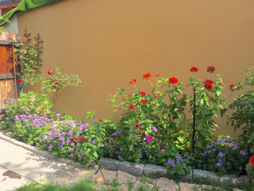 Book-A-Room Salzburg Apartment 5-6-7-8 Zewnętrze zdjęcie